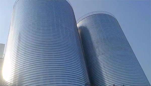 封丘2座混凝土高架卷板仓